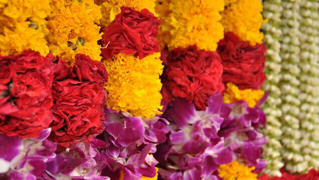 Tourists from abroad are paying for tickets to attend Indian weddings!
