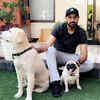 Gippy Grewal poses with his furry friends