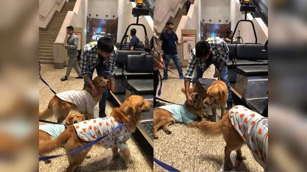 Sidharth Malhotra playing with therapy dogs at the airport will melt your hearts