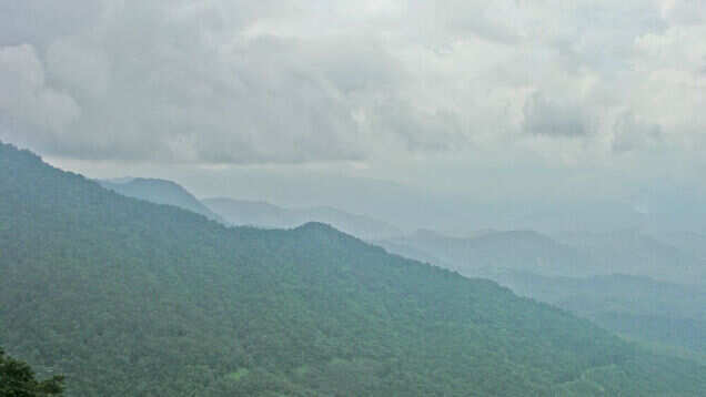 Chembra peak in Wayanad is now ready to receive tourists