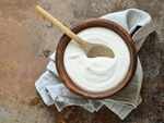 Onion Juice + Yoghurt