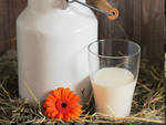 Nutritional profile of pea milk