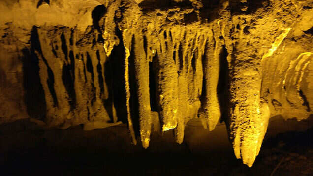 All about Belum Caves in Andhra Pradesh, the second longest cave in India