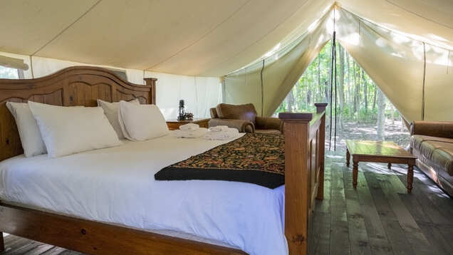 Where to go glamping in India?