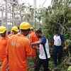 Cyclone Gaja live updates: 33 killed, Navy pressed into action for relief work