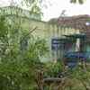 Trees uprooted and houses damaged in Nagapattinam in the overnight rainfall and strong winds which hit the town.