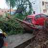 Heavy rains uprooted a tree crushing a car parked under it in Dindigul.