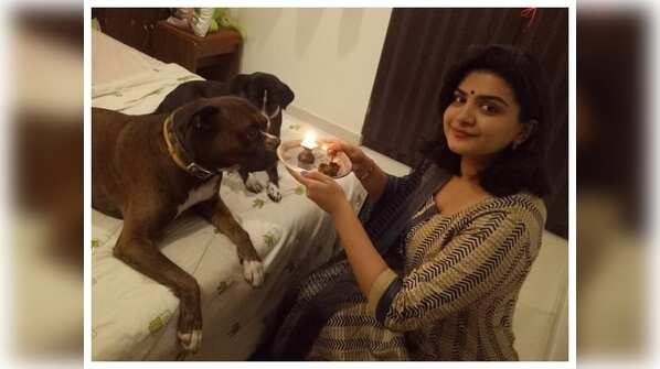 For all animal lovers