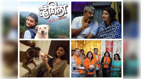 ‘Vanilla, Strawberry & Chocolate’: Reasons to watch Girish Vishwanath's directorial film