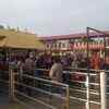 Queue for darshan at Sabarimala