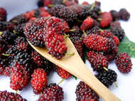 Eat Shahtoot or mulberry to flush out toxins from the liver