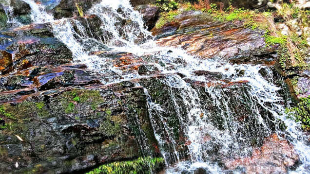 Discover some astonishing facts about Rock Garden, Chandigarh