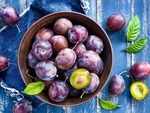 Say hello to plum oil, the elixir to all your skin related woes