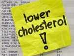 Lowers cholesterol levels