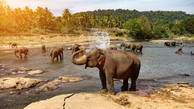 This is why December calls for a trip to Kerala