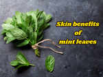 Mint leaves and its benefits for skin