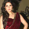 Article image for: Actress <i class="tbold">zarine khan</i>'s car meets with an accident in Goa: Reports