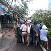 Police helping people in clearing an uprooted tree  at Uppada near Kakinada.