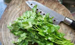 Coriander leaves are a rich source of Vitamin C