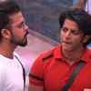 Article image for: Karanvir and Sreesanth at loggerheads