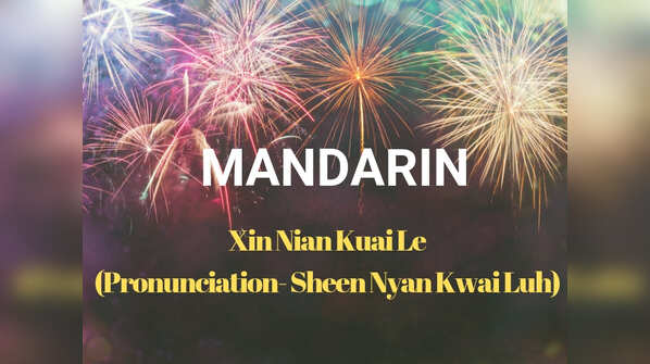 Happy New Year in MANDARIN