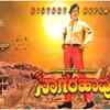 Nagarahavu