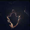 Love written all over