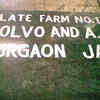 Plate Farm