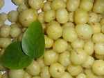 Amla