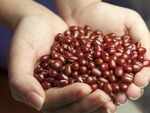 Beans