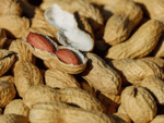 Reasons to love peanuts