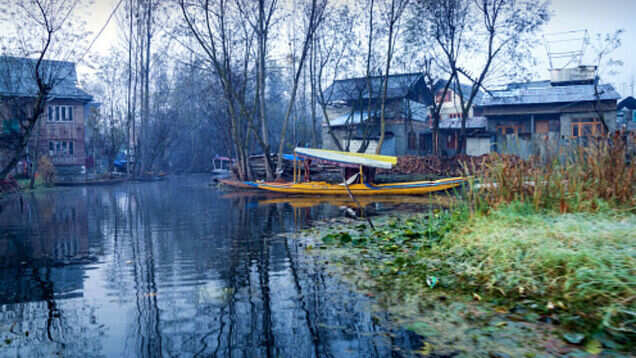 Waking up at Nigeen Lake, Kashmir