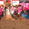 Jallikattu in Tamil Nadu