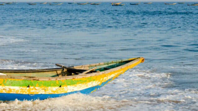 Turtle Tourism likely to be the next big thing in Odisha