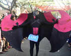​35th Cochin Carnival