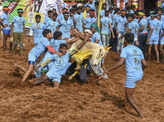 Tamil Nadu: Over 50 injured in Jallikattu events
