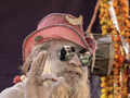 Kumbh Mela: Pictures of Naga Sadhus grab all attention