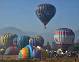 International Balloon Festival makes sky alive in Araku Valley