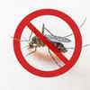 Dengue