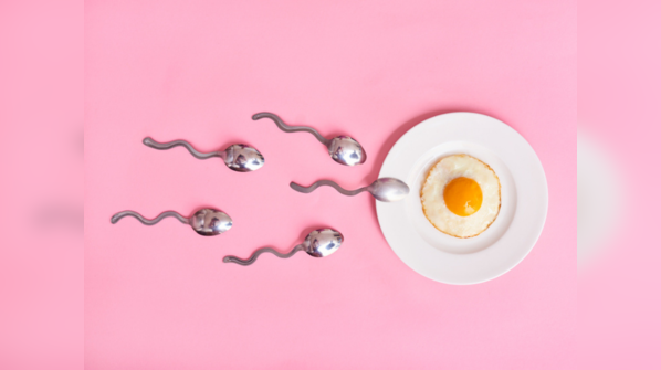 What is ovulation?