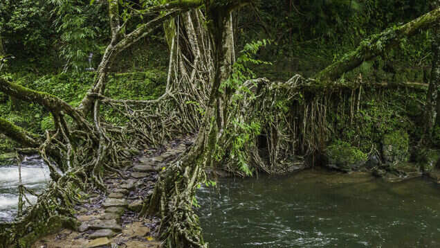 IRCTC 5D/4N Scotland of East tour package starts at just INR 12470