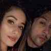 ​Lovebirds