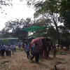 Article image for: Jumbos bid <i class="tbold">adieu</i> to the elephant camp