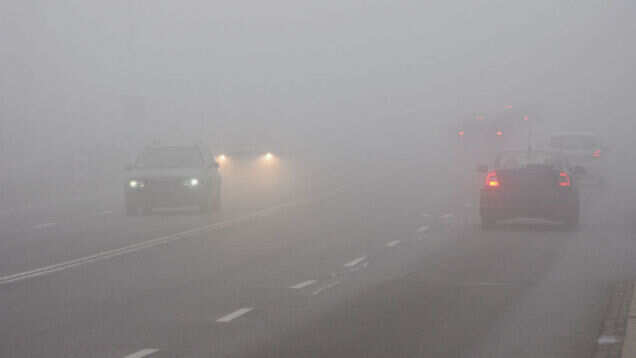 Delhi wakes to a foggy morning, intense cold wave to hit soon