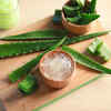 ​Aloe Vera