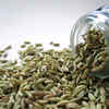 Fennel seeds
