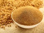 Fenugreek powder