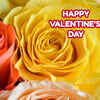 I love you