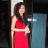 Article image for: 'Dil Mil Gaye' party