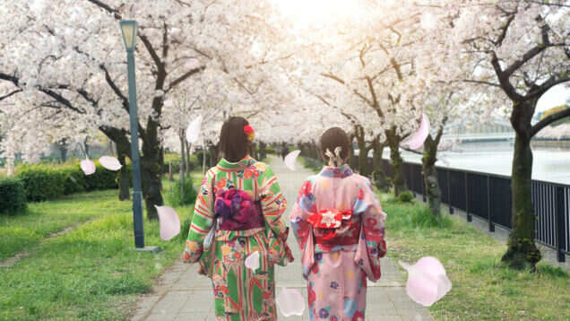 Japan&rsquo;s flower cruise is the best way to witness the beauty of cherry blossoms